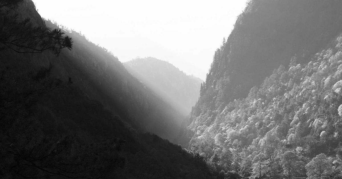 APS Bolarum Secures 100% Result in Class X