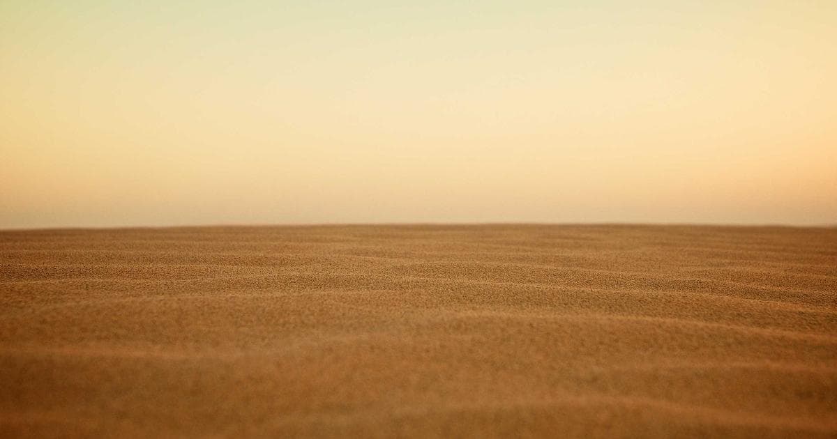 Breaking News: Major Developments in Business Sector