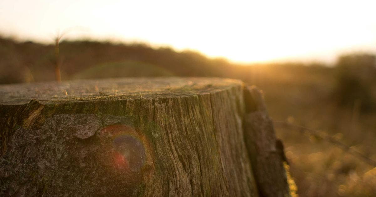 Breaking News: Major Developments in Fashion Sector