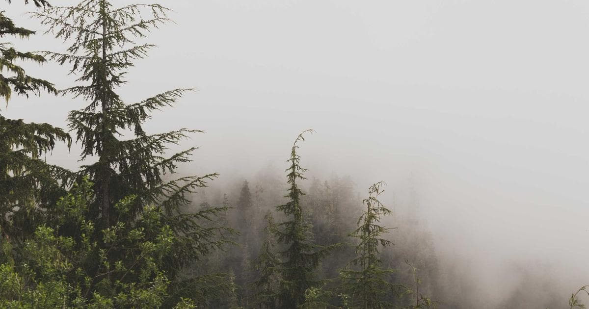 Breaking News: Major Developments in Influencers Sector