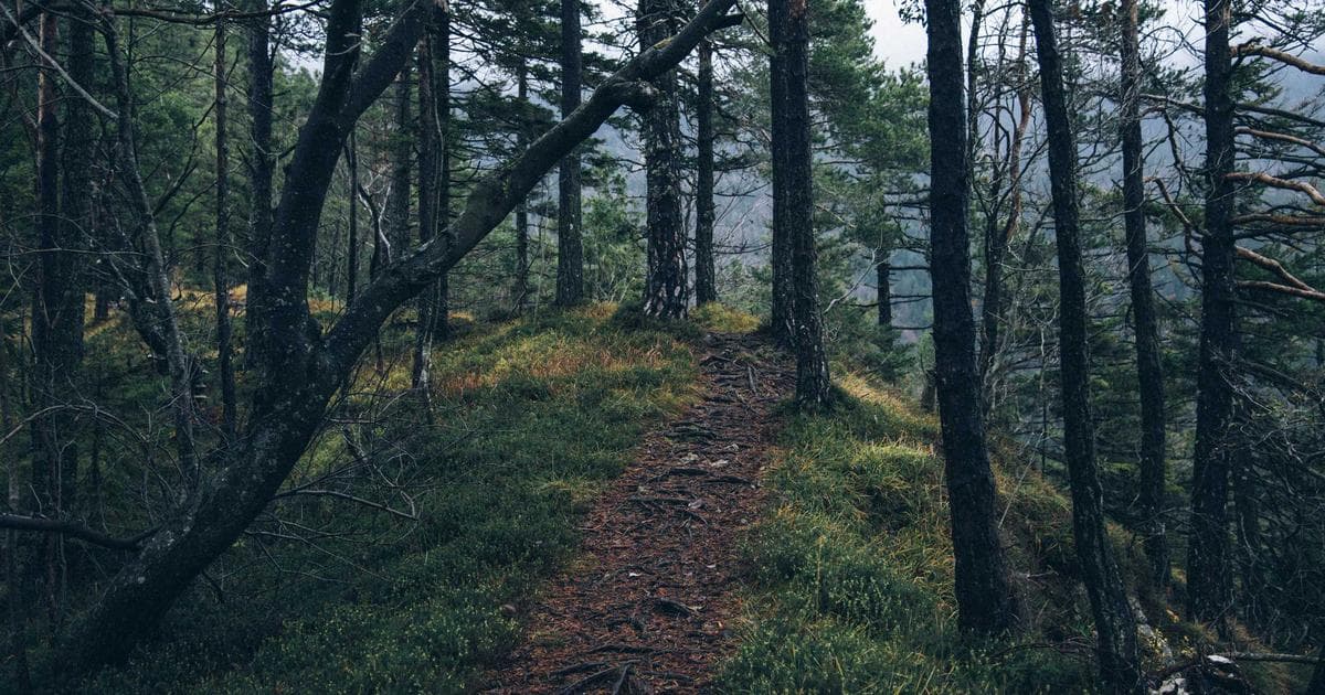 Breaking News: Major Developments in Sports Sector