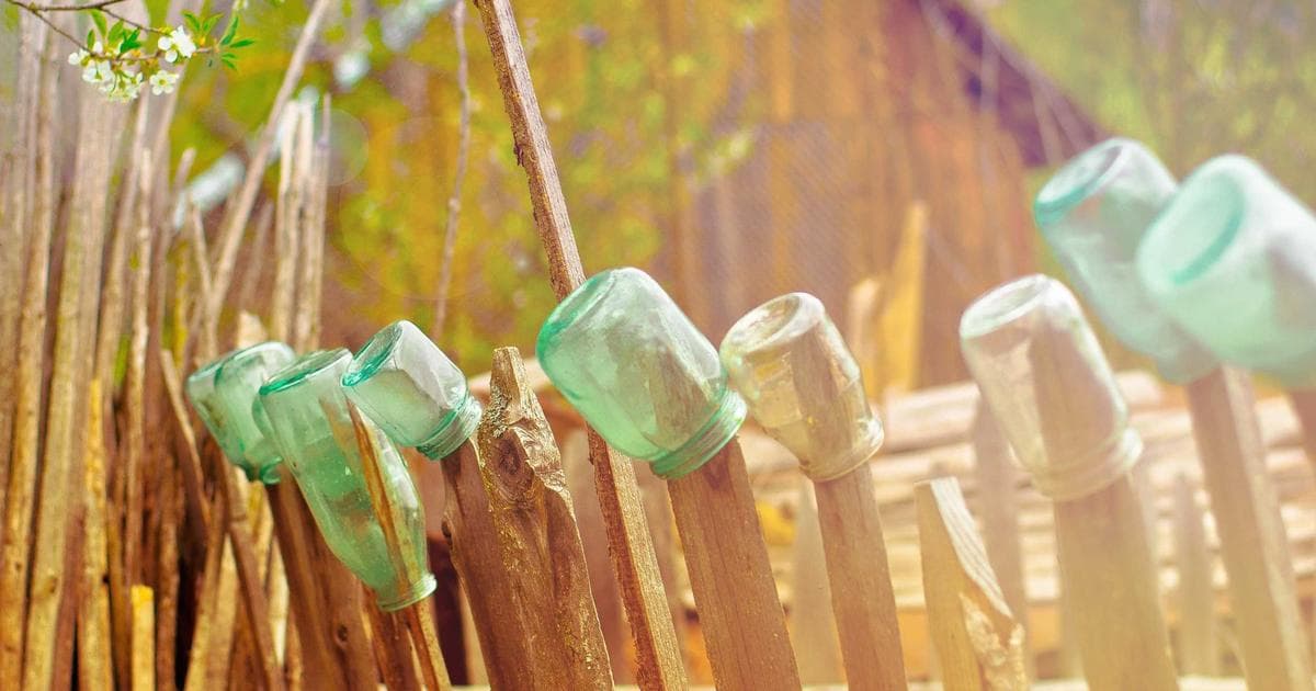 Director of Development