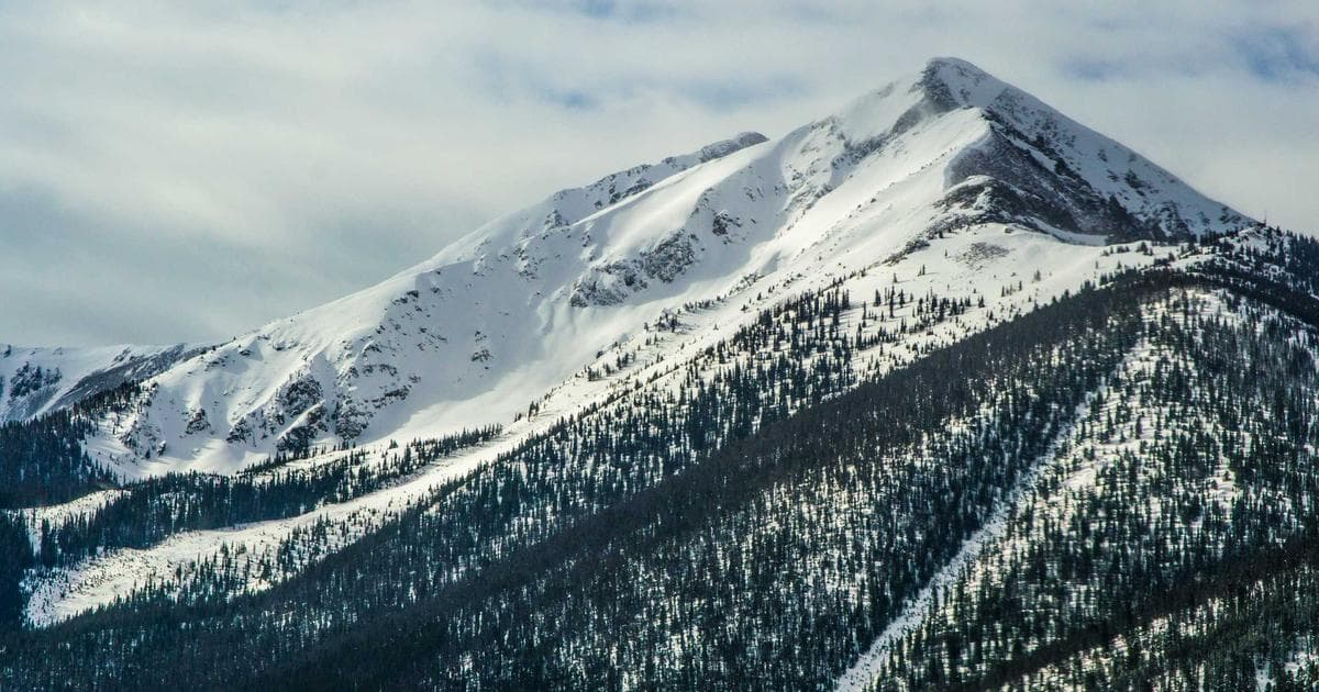 Learn How to Leverage New Tech, Says Franklin Templeton CEO